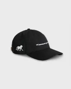 Habibis x SkatePal Cap hover image