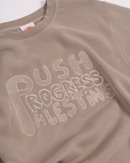 Asira10 'Push Progress Palestine' Crew (Cement) hover image